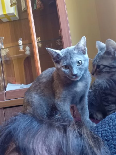 TEMPESTA E BIANCO | Foto 0