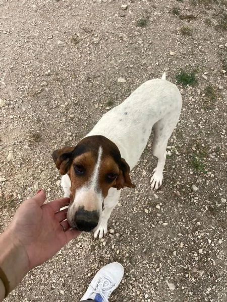 SIRYA E PENNY | Foto 6