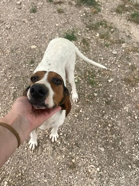 SIRYA E PENNY | Foto 4