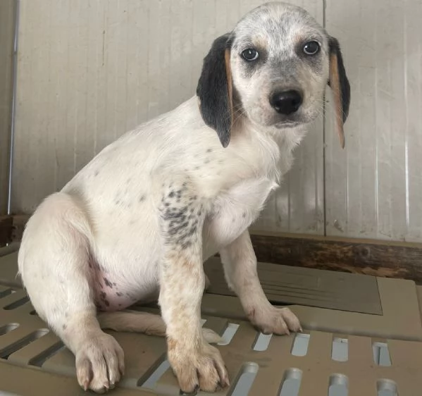 SIRYA E SELENE | Foto 5