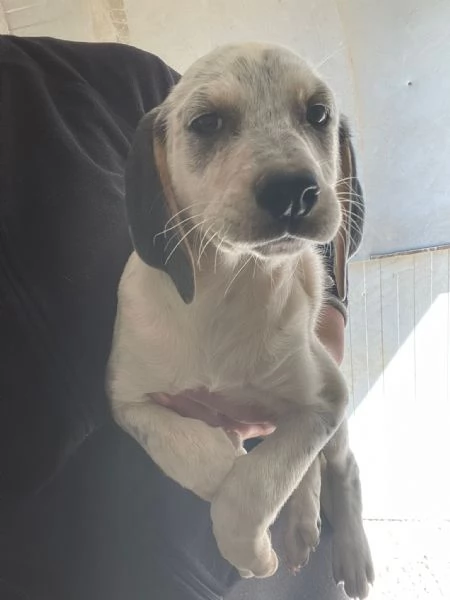 SIRYA E SELENE | Foto 4