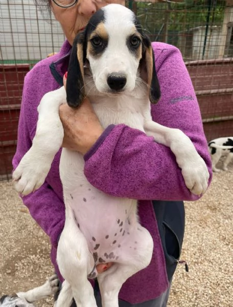 SIRYA E SELENE | Foto 0