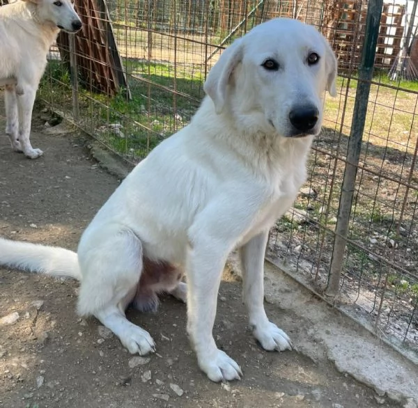 ZULEIA E DEMYR | Foto 3