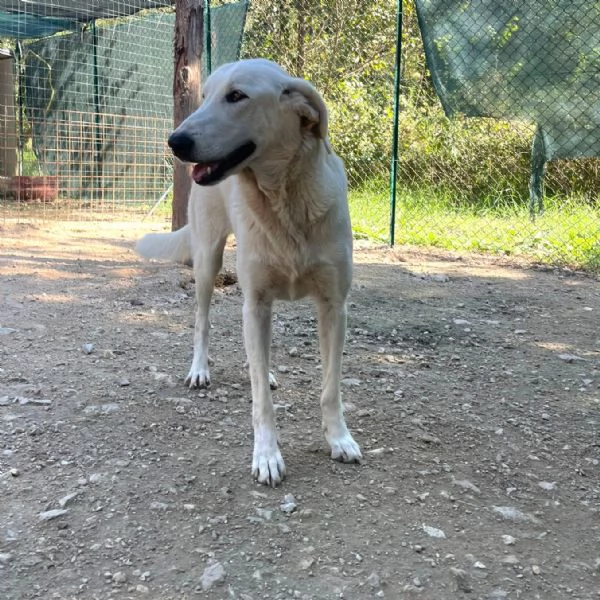 ZULEIA E DEMYR | Foto 2