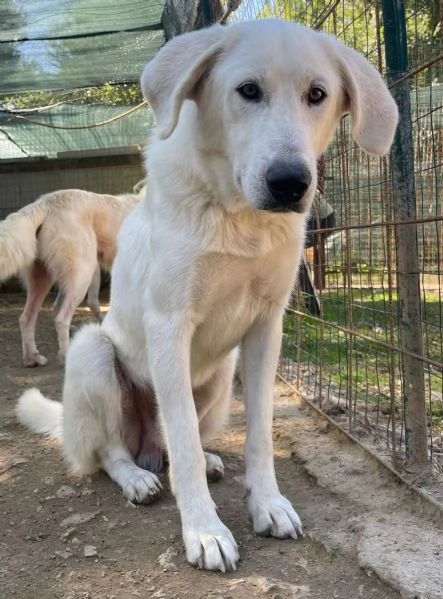 ZULEIA E DEMYR | Foto 1