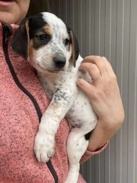 COSMO ASPETTA TE | Foto 2