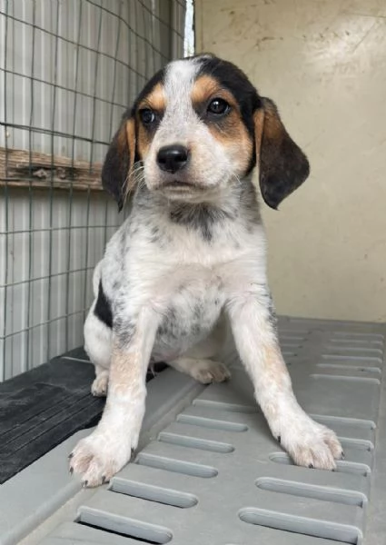 CLEMENTINA ASPETTA TE | Foto 1