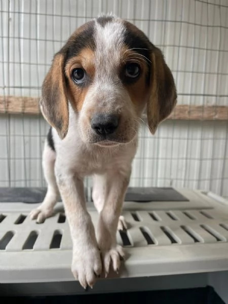 LA DOLCE CELIA | Foto 2