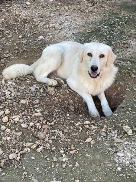 IL SORRISO DI LUCKY