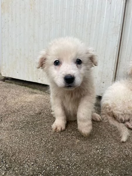 DUE TENERE SORELLINE | Foto 3