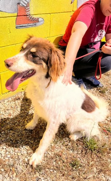 Molly non conosce il Mondo fuori  | Foto 1