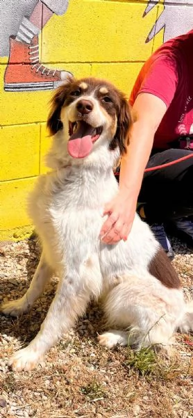 Molly non conosce il Mondo fuori 
