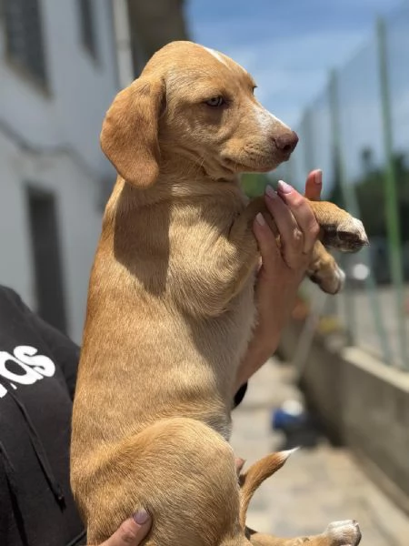 Mav ma che bei due occhioni hai | Foto 0