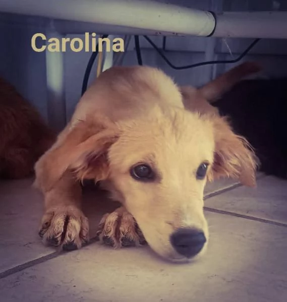 Le 2 gemelline Carolina e Peperina  | Foto 2