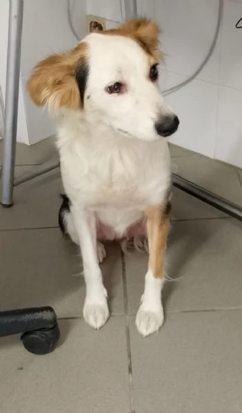 Stella di nome e di fatto  | Foto 2