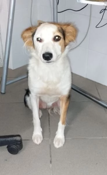 Stella di nome e di fatto  | Foto 1