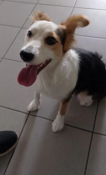 Stella di nome e di fatto 