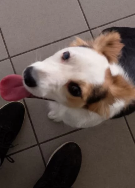 Stella di nome e di fatto  | Foto 0
