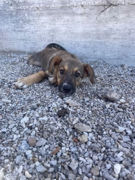 Chi cambia il Futuro di Thaissa  | Foto 0