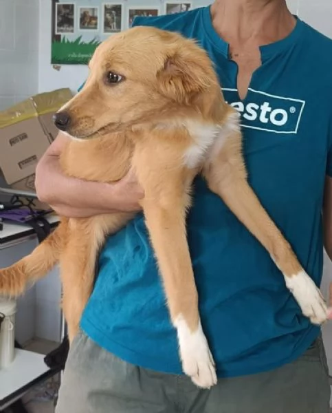 Peperina super cucciola amica di tutti  | Foto 4