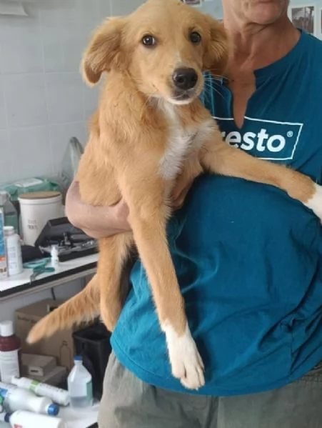 Peperina super cucciola amica di tutti  | Foto 3