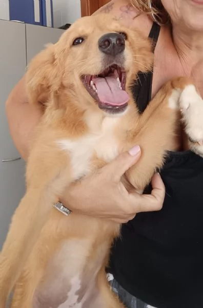 Peperina super cucciola amica di tutti 