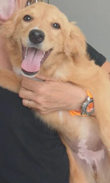Peperina super cucciola amica di tutti  | Foto 0