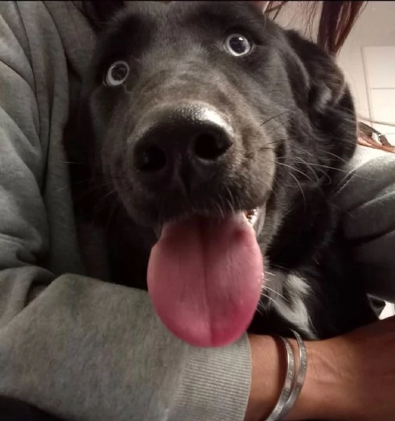 Ida splendida panterina vi aspetta in Liguria | Foto 1