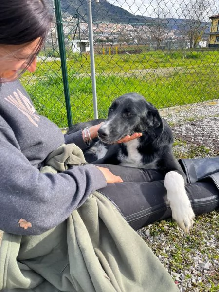 Pako andate oltre alla sua tagliaegrave dolcissimo  | Foto 6