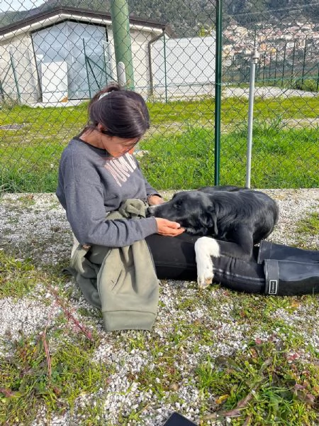 Pako andate oltre alla sua tagliaegrave dolcissimo  | Foto 3