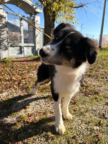 Arya un capolavoro della natura  | Foto 4