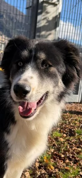 Arya un capolavoro della natura  | Foto 3