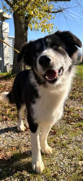 Arya un capolavoro della natura  | Foto 2