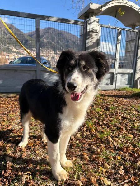 Arya un capolavoro della natura  | Foto 1