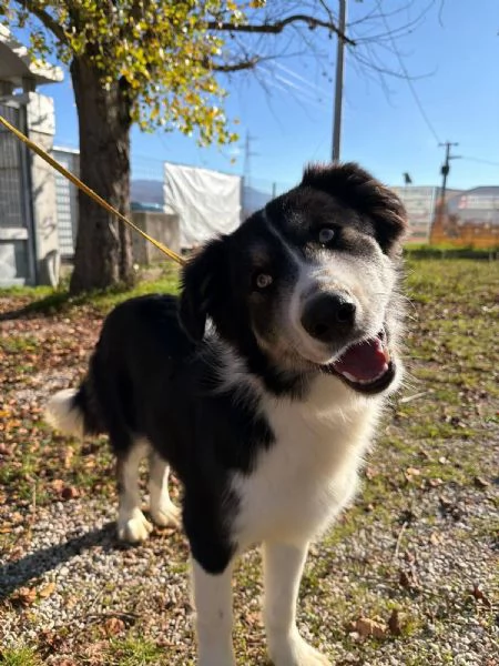 Arya un capolavoro della natura  | Foto 0