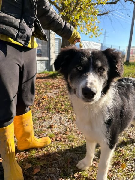Arya un capolavoro della natura 