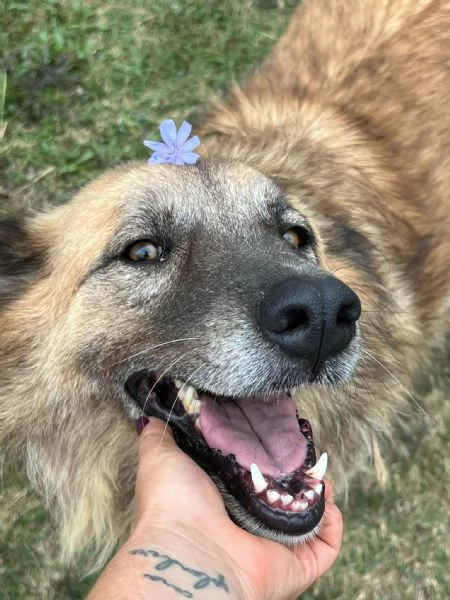 Rony nessun interesse solo percheacute ha 6 anni  | Foto 5