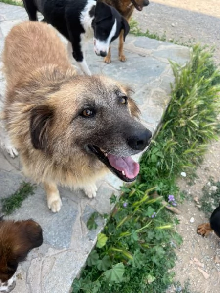 Rony nessun interesse solo percheacute ha 6 anni  | Foto 4