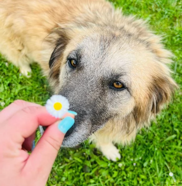 Rony nessun interesse solo percheacute ha 6 anni  | Foto 3