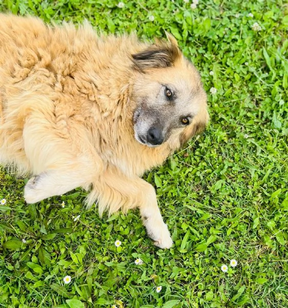 Rony nessun interesse solo percheacute ha 6 anni  | Foto 2