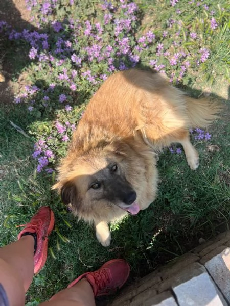 Rony nessun interesse solo percheacute ha 6 anni  | Foto 1