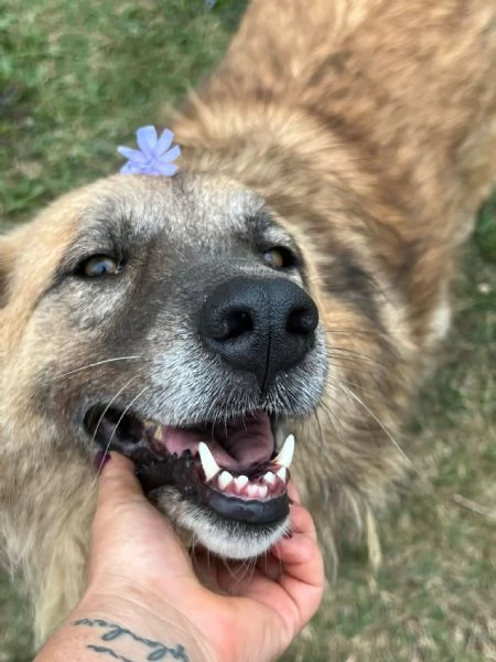 Rony nessun interesse solo percheacute ha 6 anni  | Foto 0