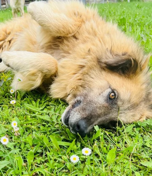 Rony nessun interesse solo percheacute ha 6 anni 