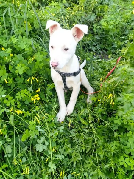 Giorgia un mix strepitoso  | Foto 5