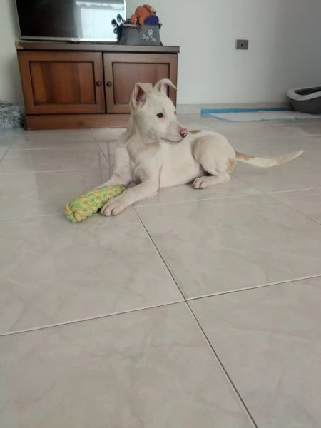 Giorgia un mix strepitoso  | Foto 2