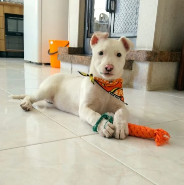 Giorgia un mix strepitoso  | Foto 1