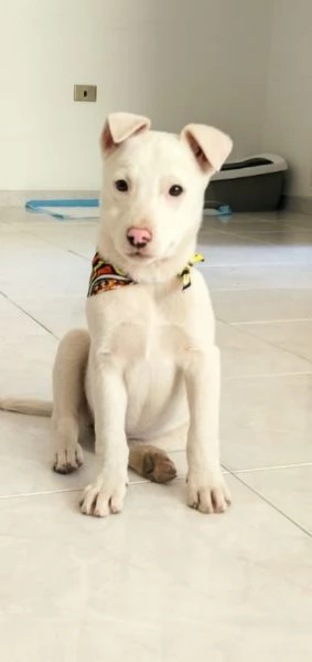 Giorgia un mix strepitoso  | Foto 0