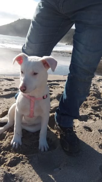 Giorgia aspetta la sua famiglia  | Foto 5