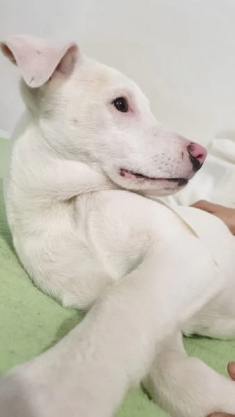 Giorgia aspetta la sua famiglia  | Foto 4