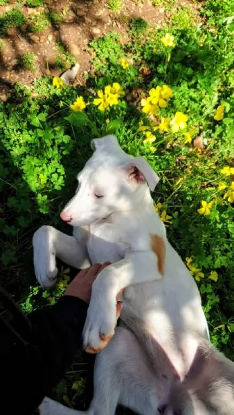 Giorgia aspetta la sua famiglia  | Foto 2